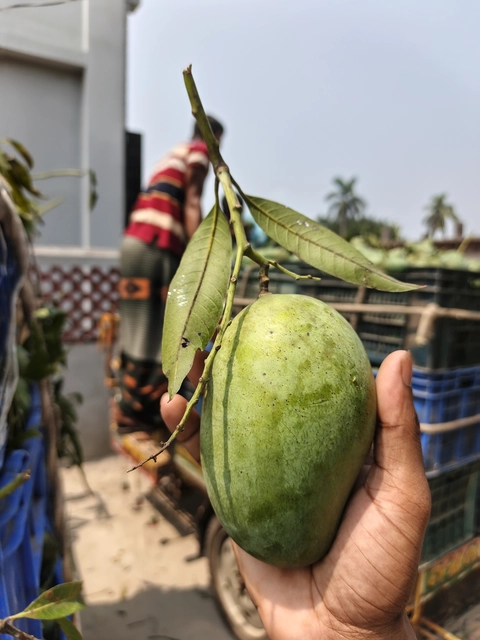 আম্রপালি Image 1