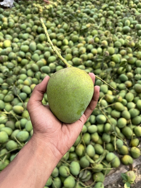 খিরসাপাত Image 1