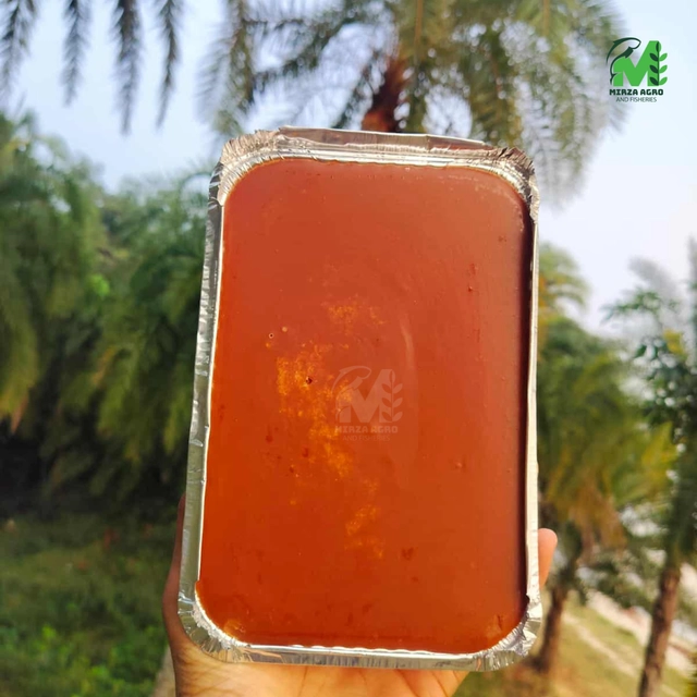 খেজুরের পাটালি গুড় / Date Palm Jaggery Image 1