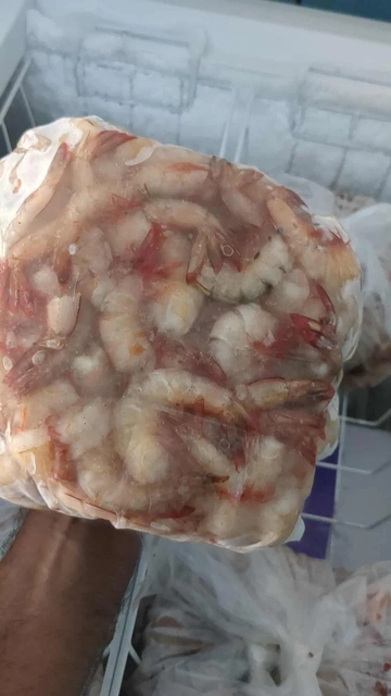 টাইগার চিংড়ি / Tiger Prawn Image 2