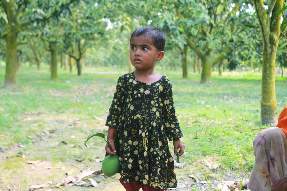 হাড়িভাঙ্গা Image 2