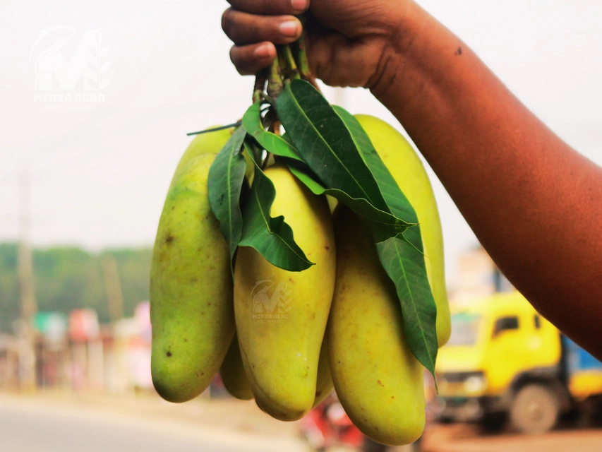 Banana Mango Image 1