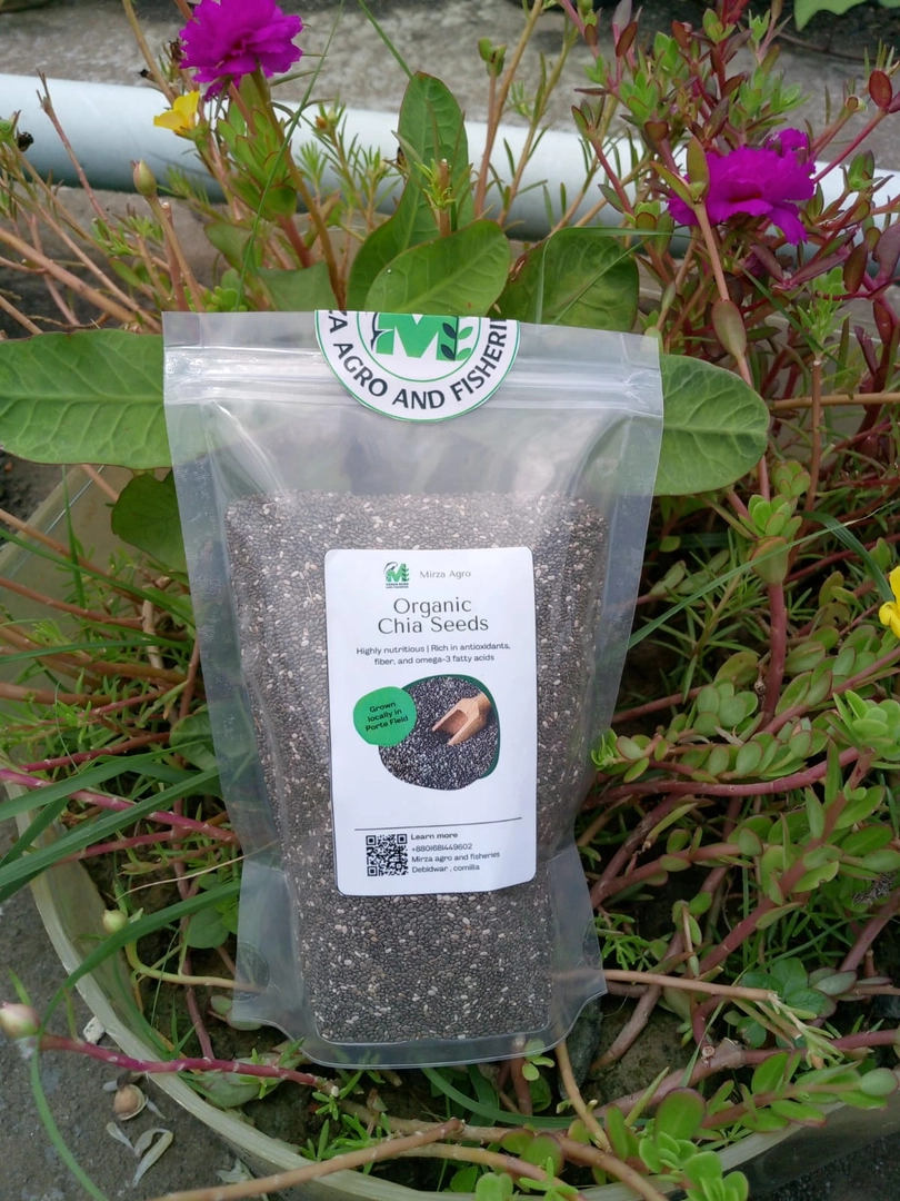 চিয়া বীজ / Chia Seeds Image 2