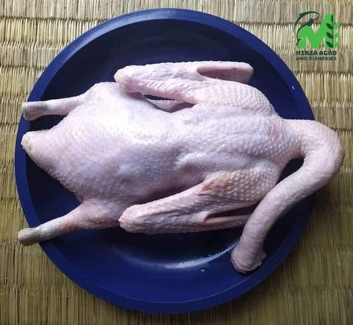 দেশি হাঁস / Duck