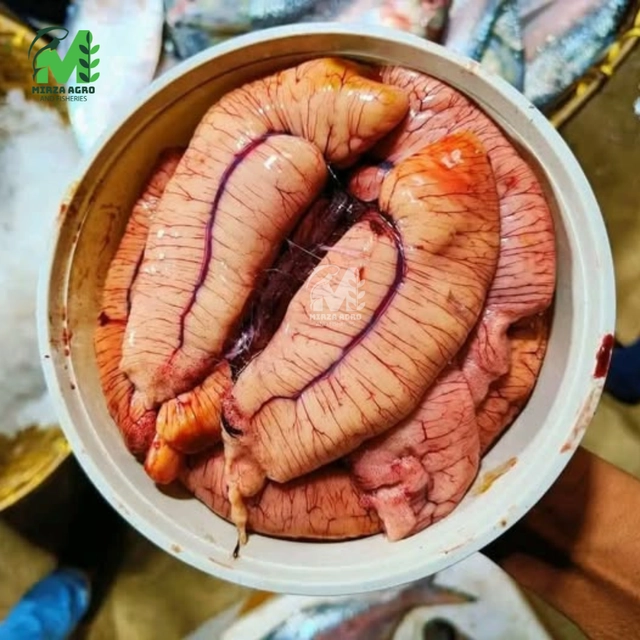 ইলিশ এর ডিম